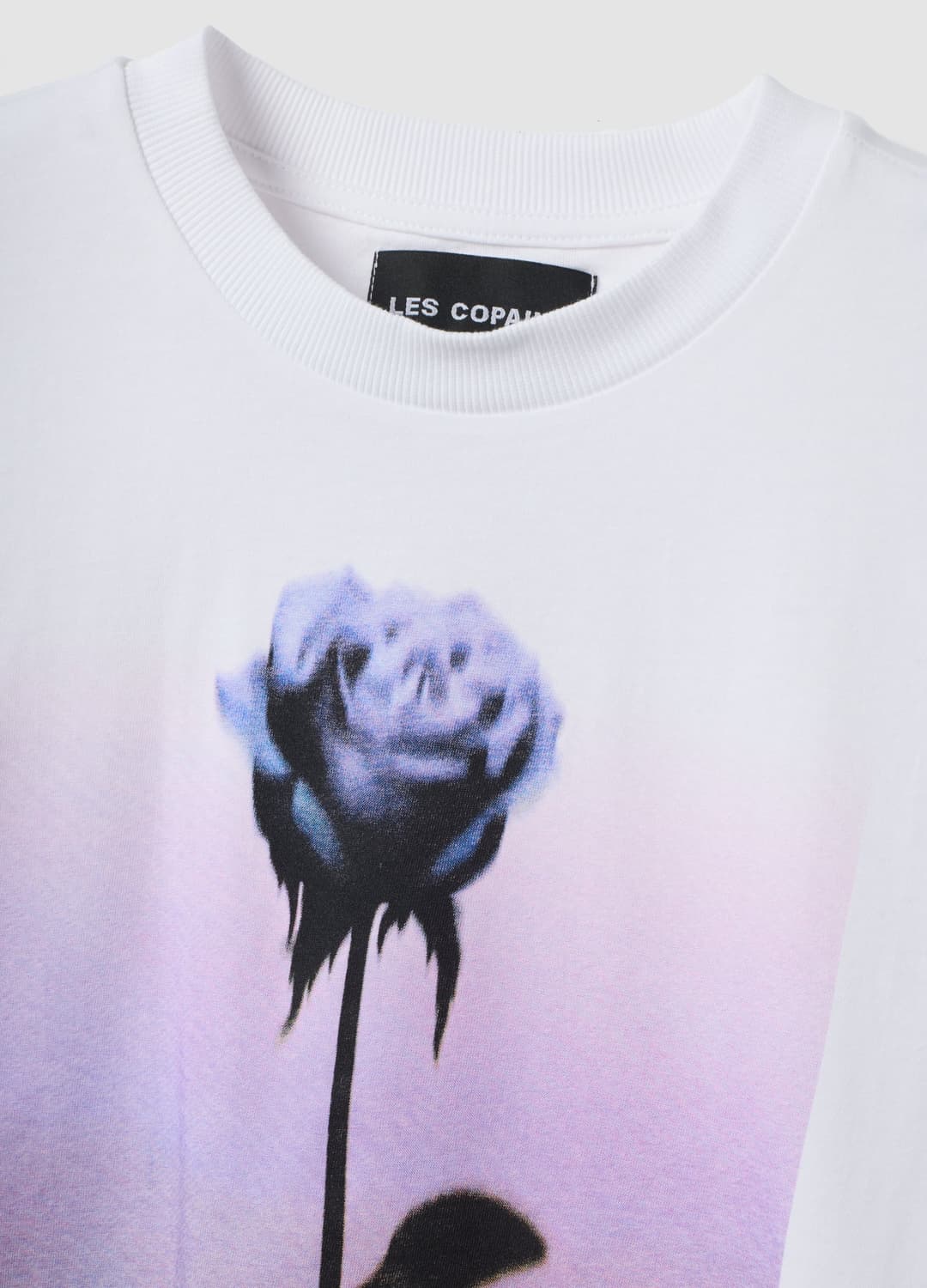 T-shirt Bianca In Puro Cotone Con Stampa Floreale Regular Fit | OVS T-shirt Bianca In Puro Cotone Con Stampa Floreale Regular Fit - 5 | OVS
