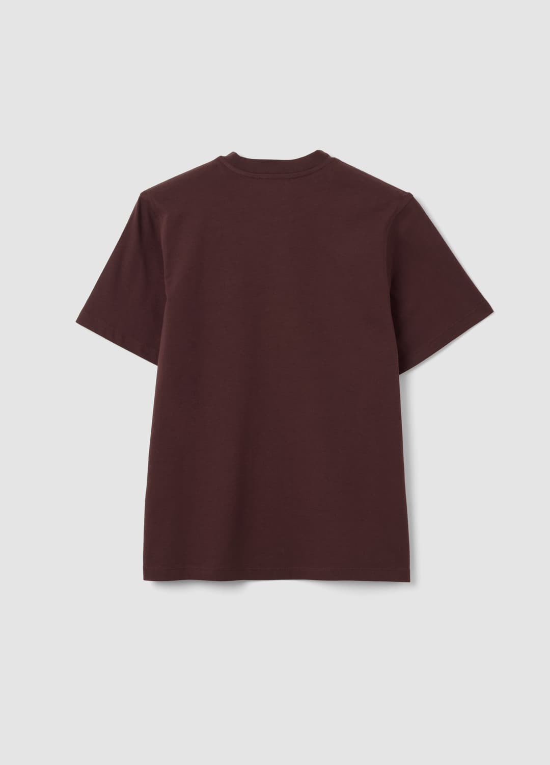 Beiges Relaxed-fit T-shirt Aus Reiner Baumwolle Mit Teddy-print | OVS Beiges Relaxed-fit T-shirt Aus Reiner Baumwolle Mit Teddy-print - 5 | OVS